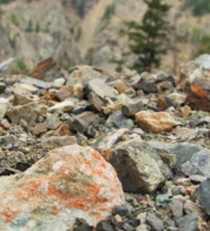 未標(biāo)題-111.jpg 未標(biāo)題-111.jpg